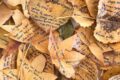 New York: poesie scritte sulle foglie cadute. Il progetto di Elena Zaharova