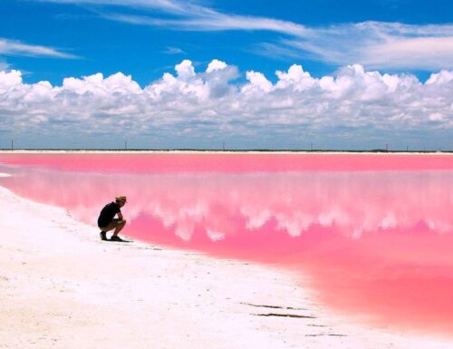 Las Coloradas, l’incantevole laguna rosa nello Yucatán
