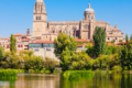 Salamanca: Un Viaggio Culturale tra Piazze Maestose, Università Antiche e Giardini Incantati